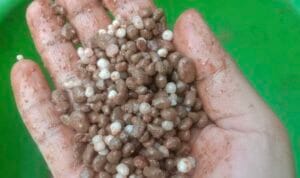 1c9c814b-7f61-4962-a6be-f7e85019dee3