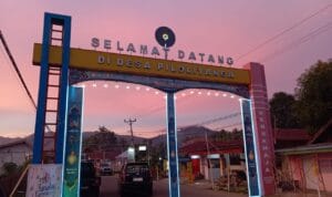 ed3e5d5d-8ffb-47ec-bd28-5c300a9fb561