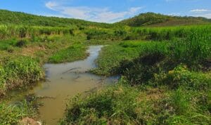 c9ab8155-e843-4fd5-be84-43425bd840bb