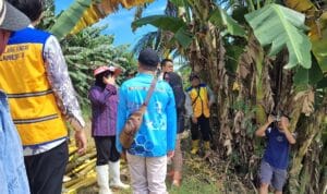 5e11a356-4ca2-4305-9c77-6aae0d36011f