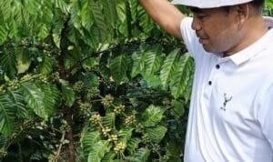 8e9e9a3b-f93b-401e-9dcb-5c168e009721