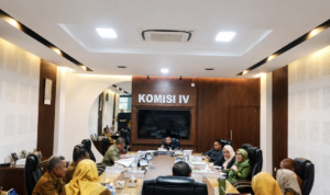 Ruang rapat komisi IV